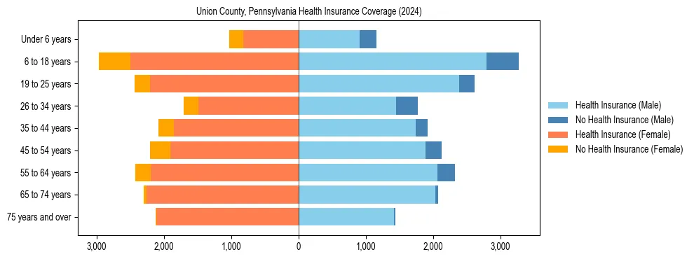 Health insurance pyramid for Union County, Pennsylvania