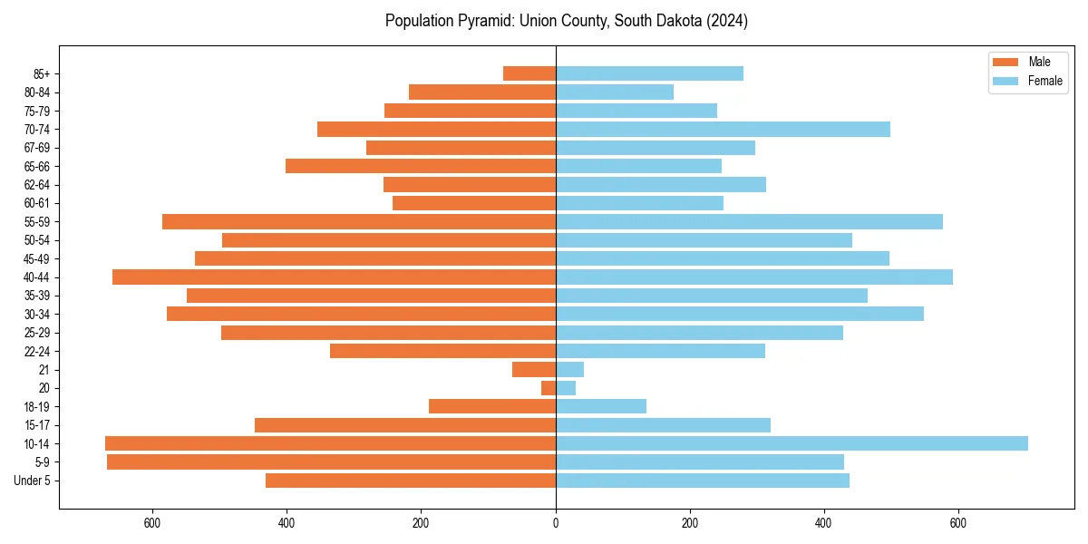 Population pyramid for 