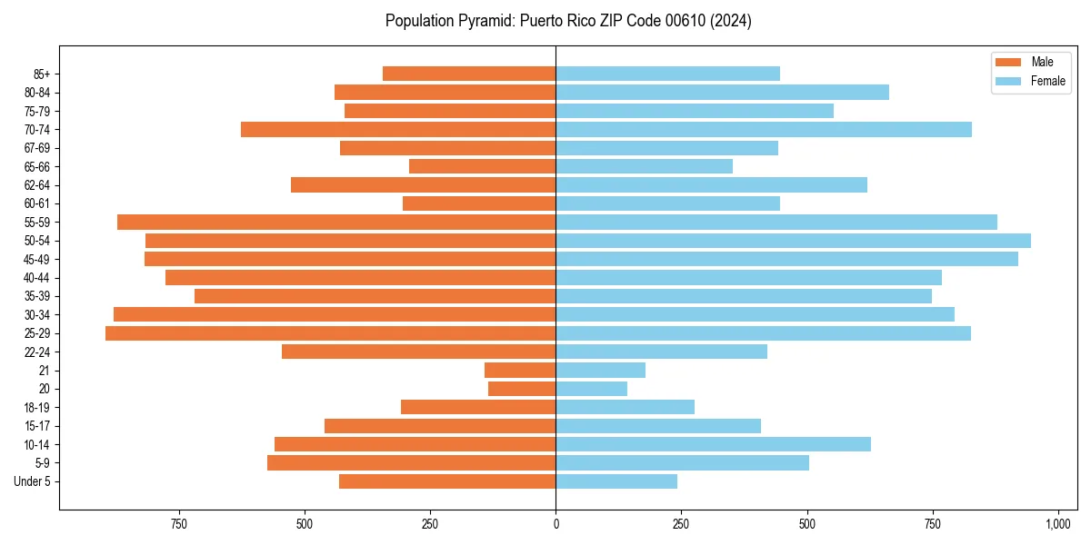 Population pyramid for 