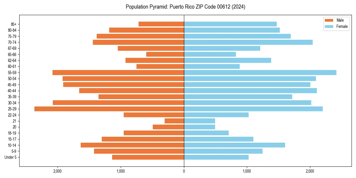 Population pyramid for 