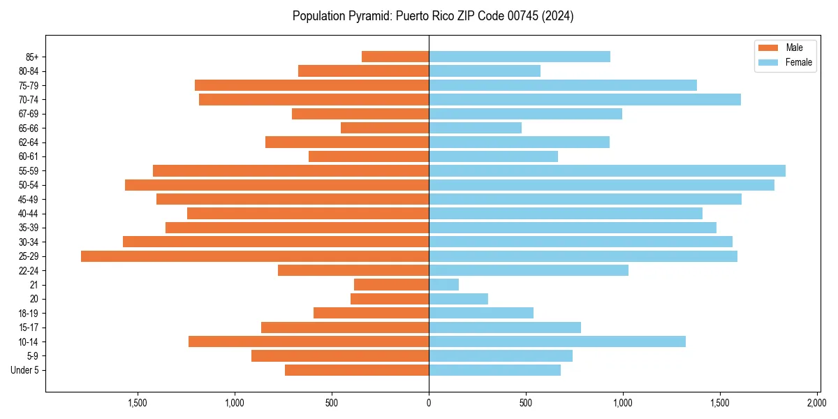 Population pyramid for 