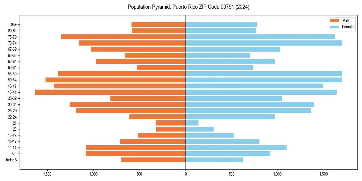 Population pyramid for 