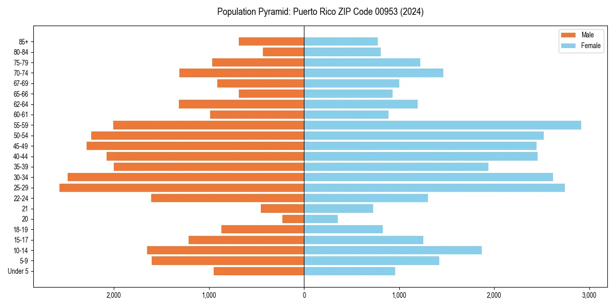 Population pyramid for 