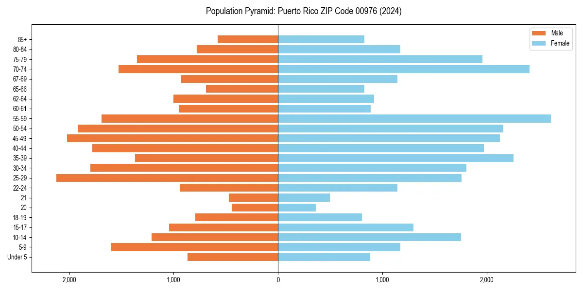 Population pyramid for 