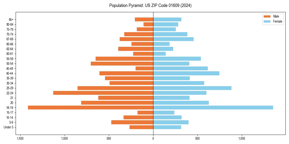 Population pyramid for 
