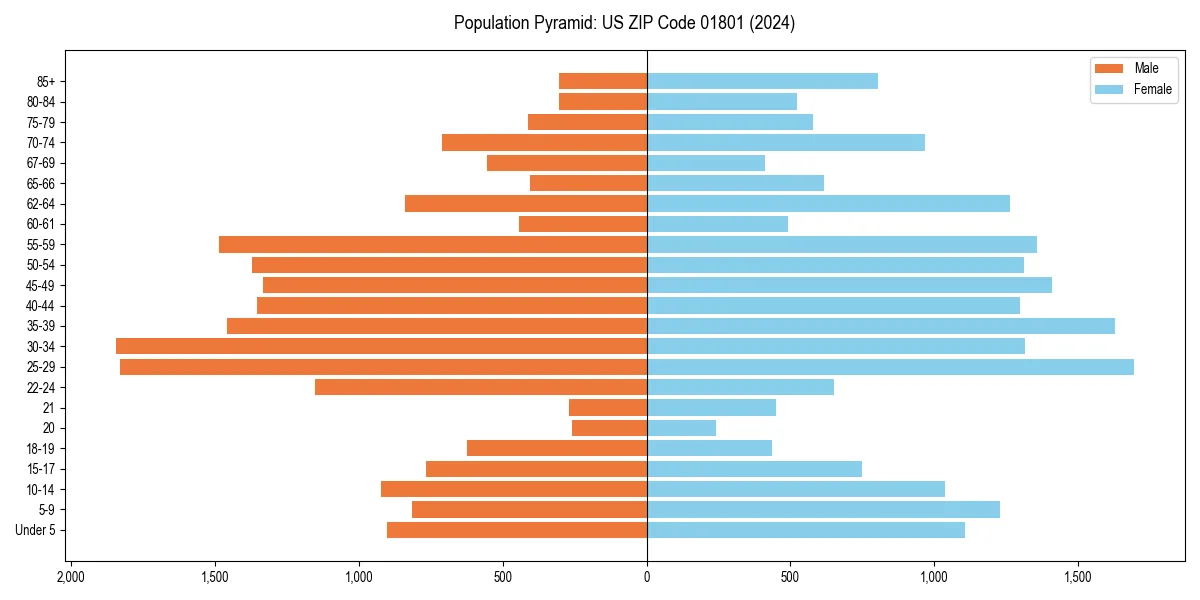 Population pyramid for 