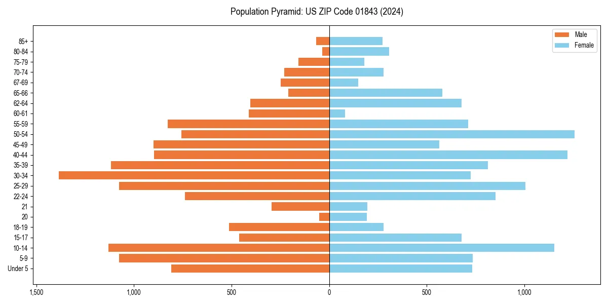 Population pyramid for 