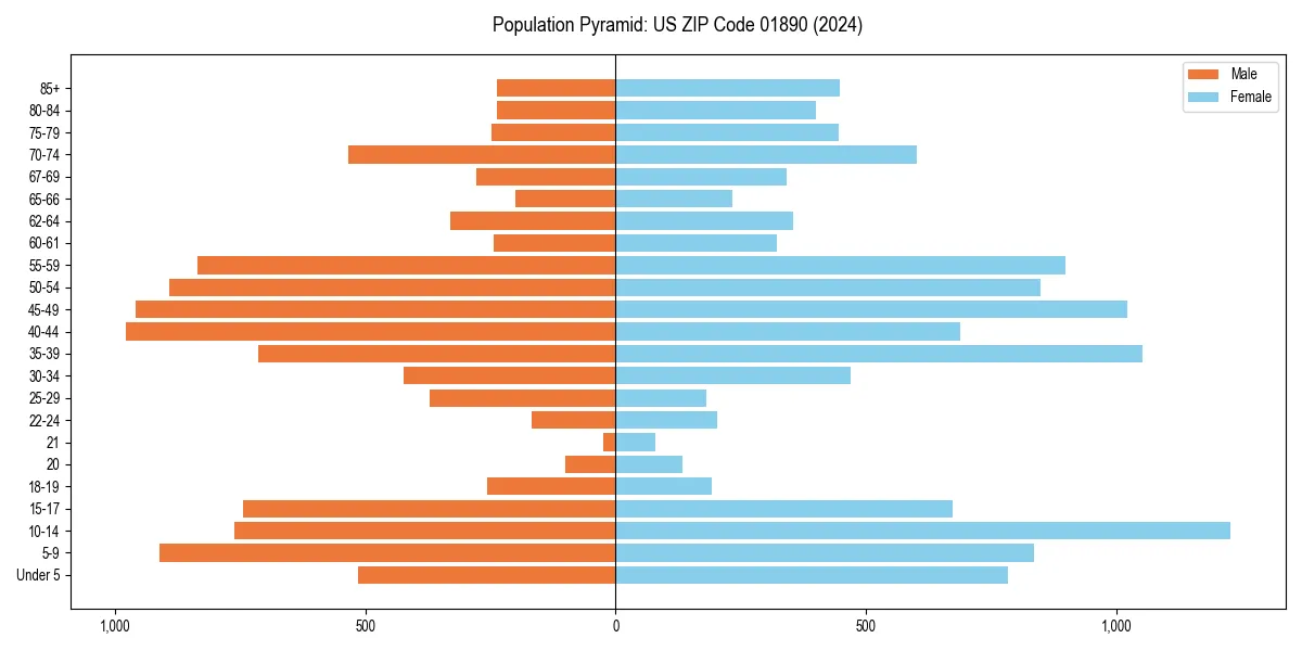 Population pyramid for 