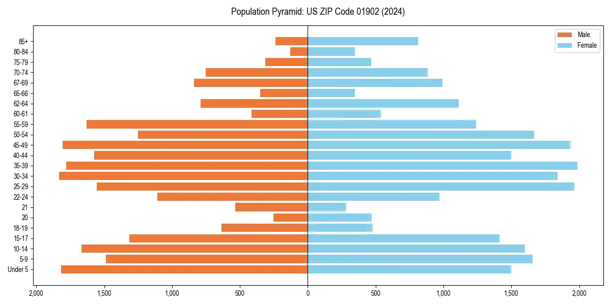 Population pyramid for 
