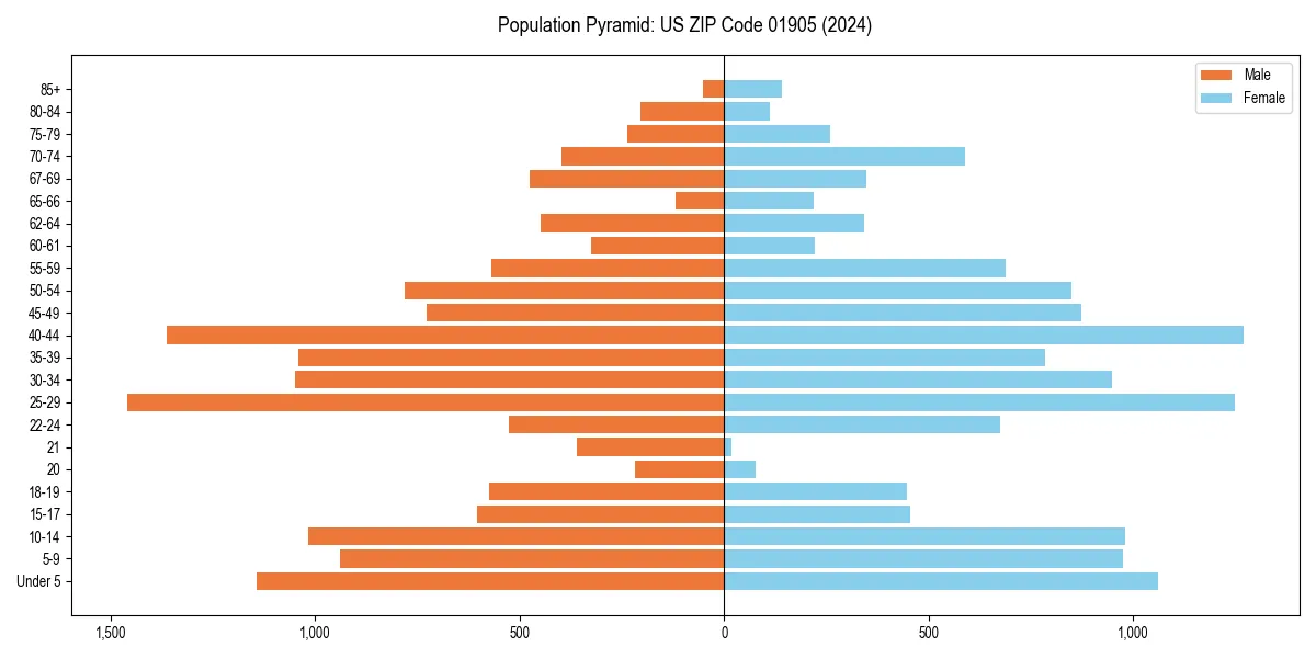 Population pyramid for 
