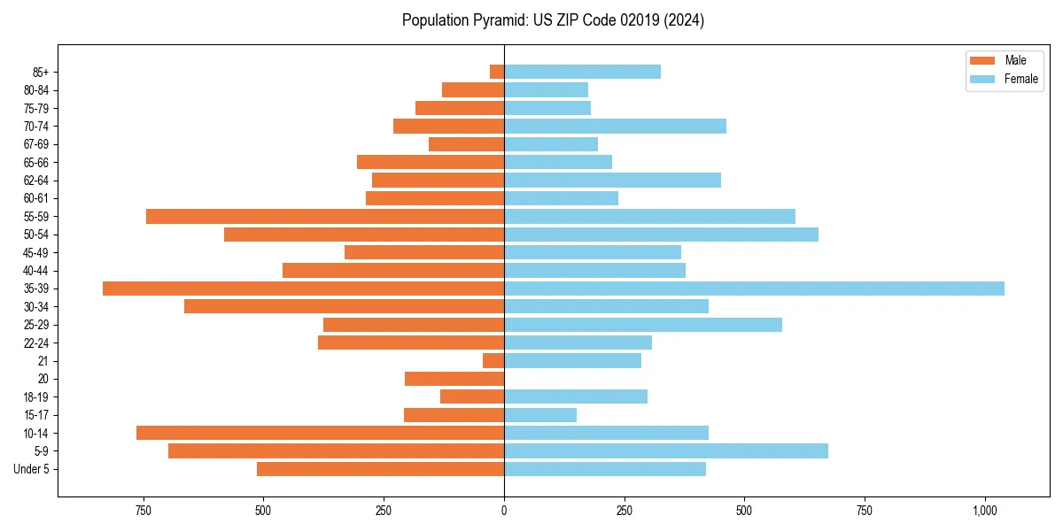 Population pyramid for 