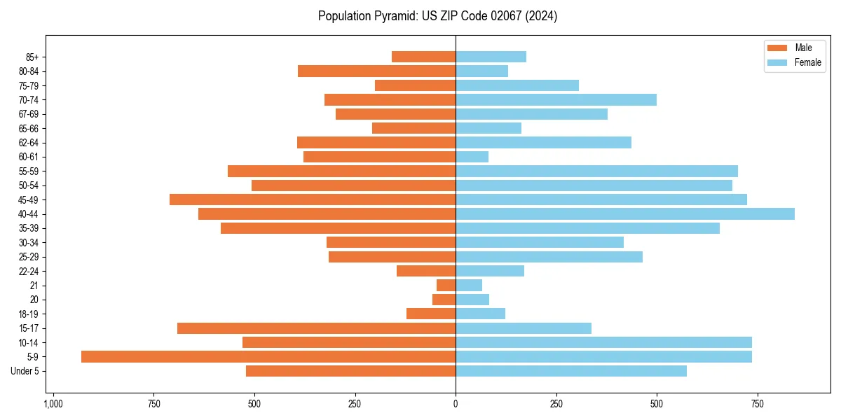 Population pyramid for 
