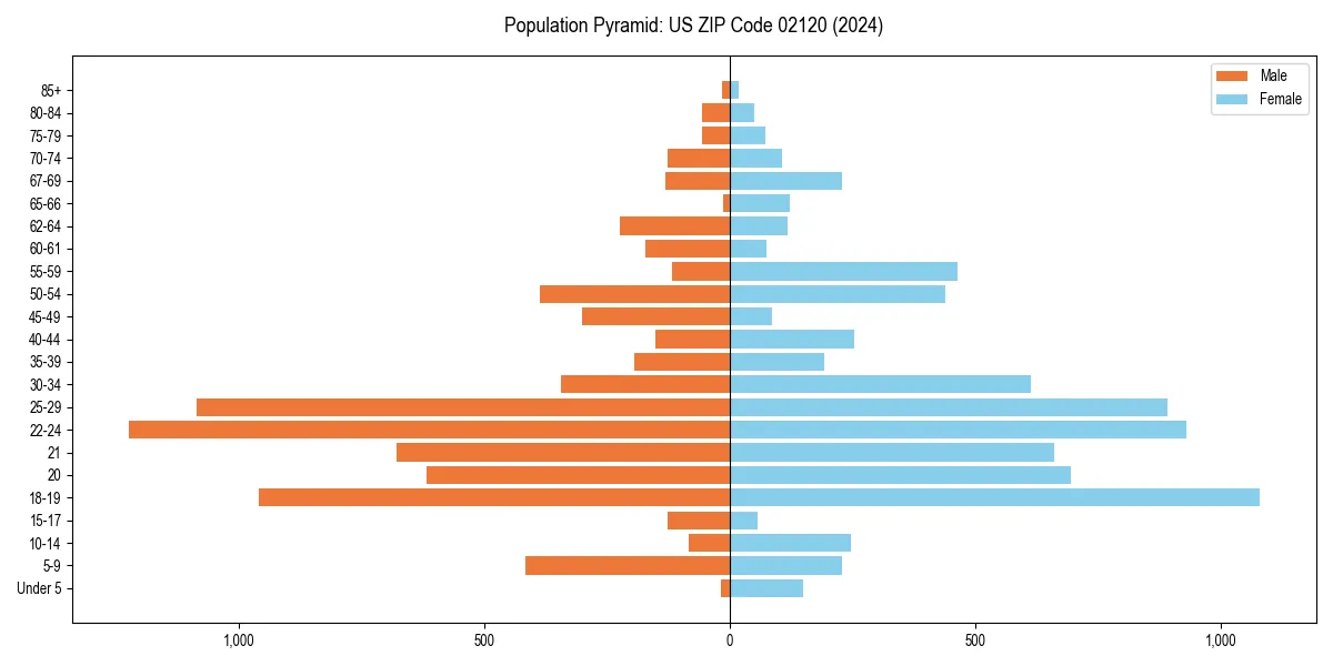 Population pyramid for 