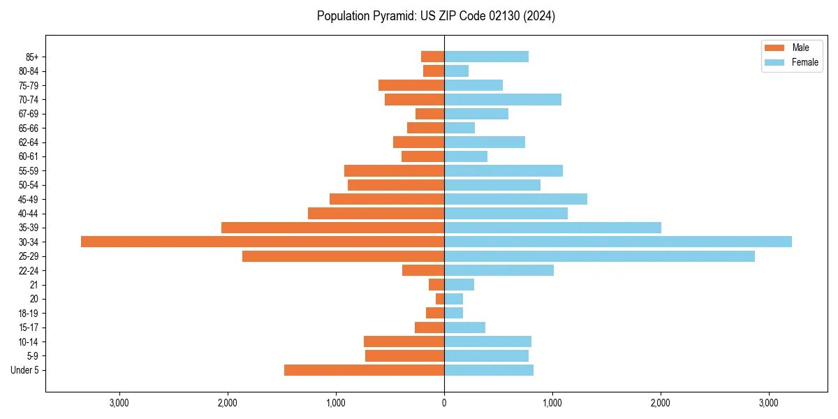Population pyramid for 