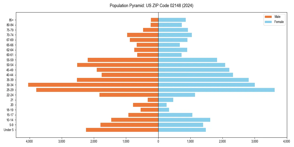 Population pyramid for 