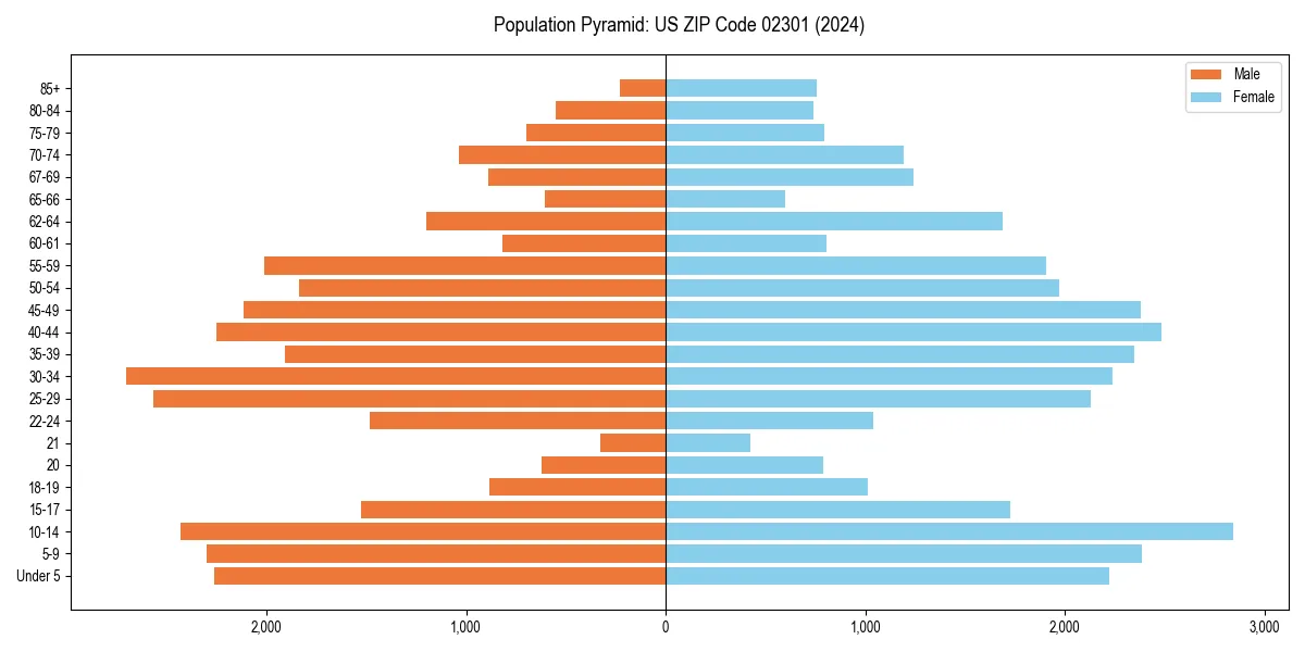 Population pyramid for 