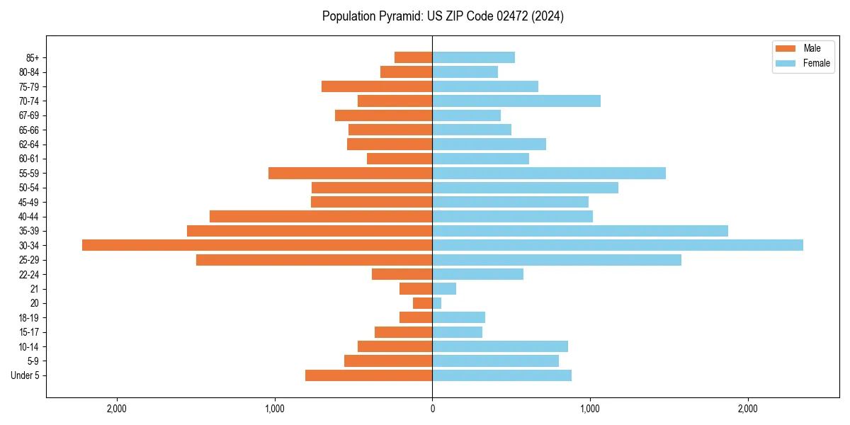 Population pyramid for 
