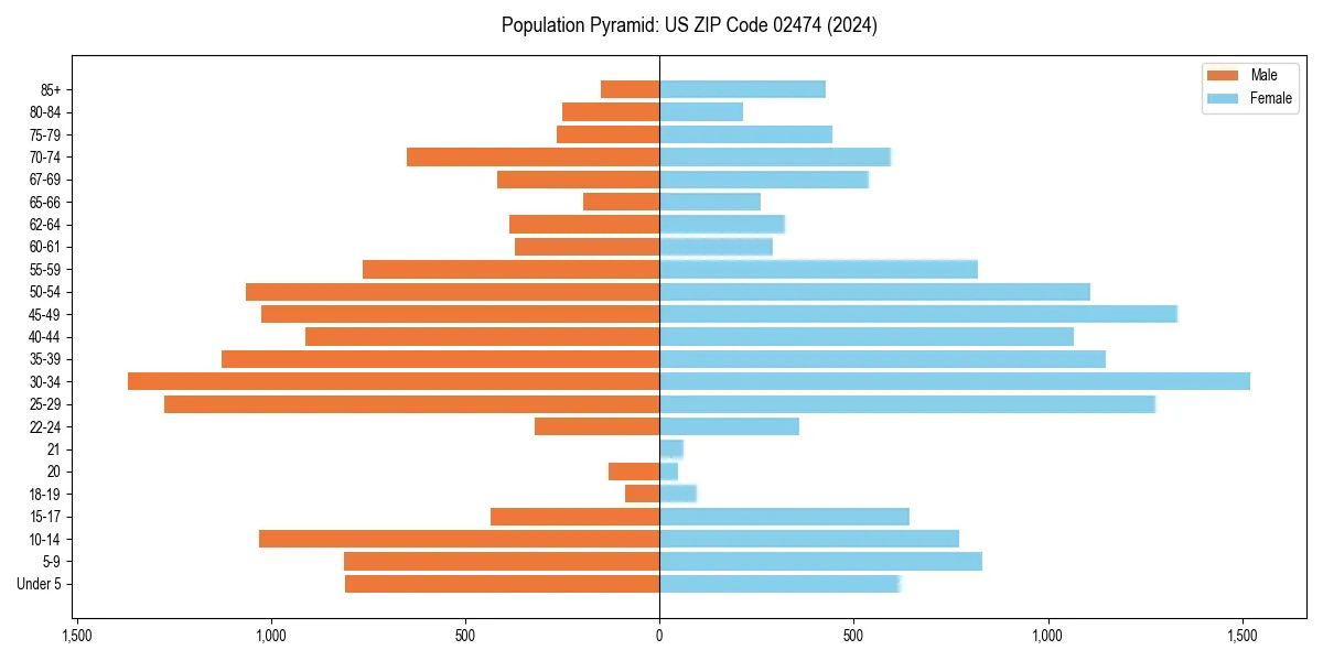 Population pyramid for 