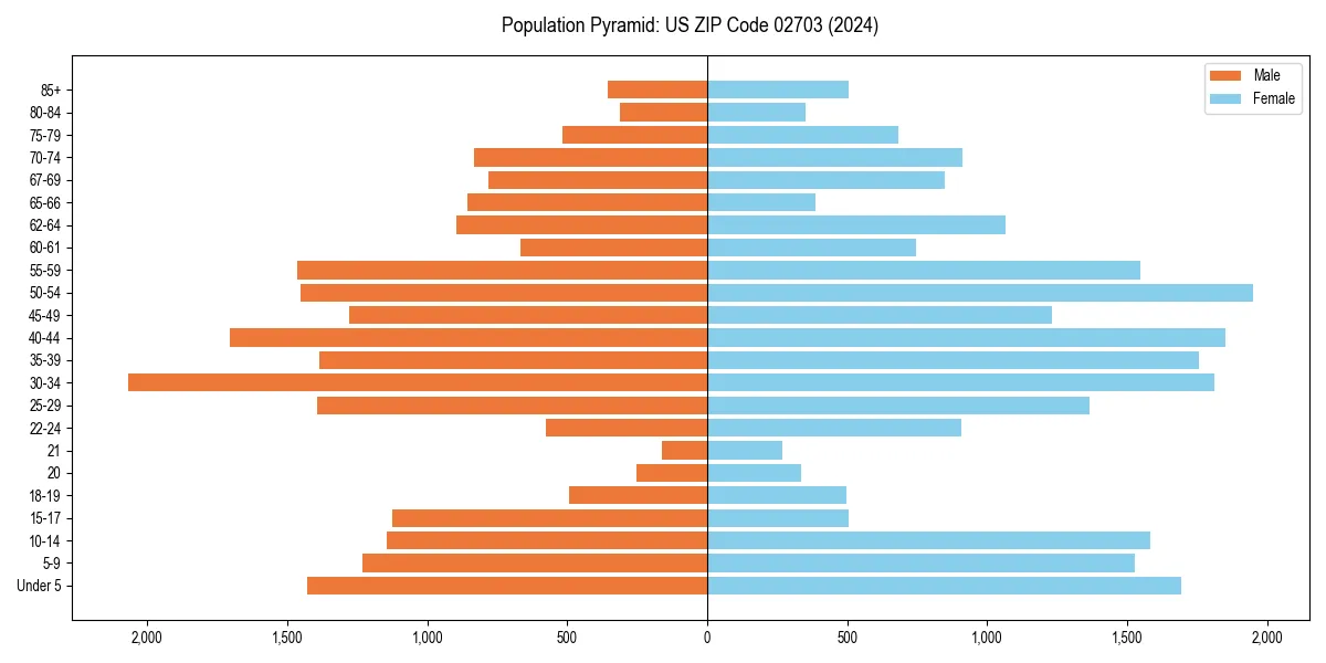 Population pyramid for 