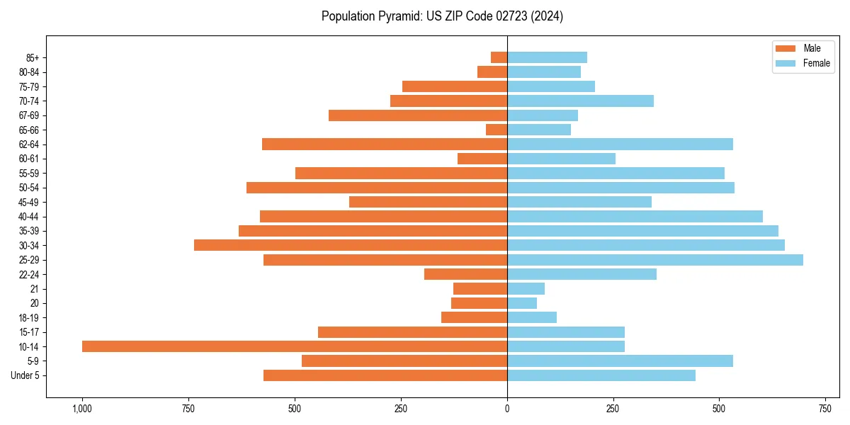 Population pyramid for 