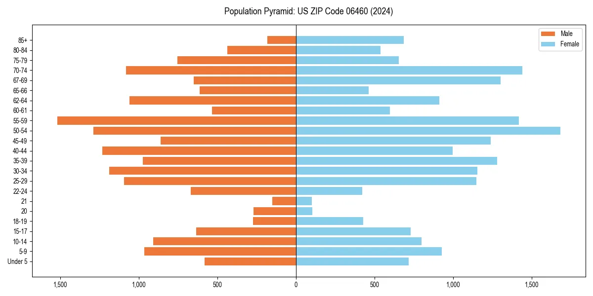 Population pyramid for 