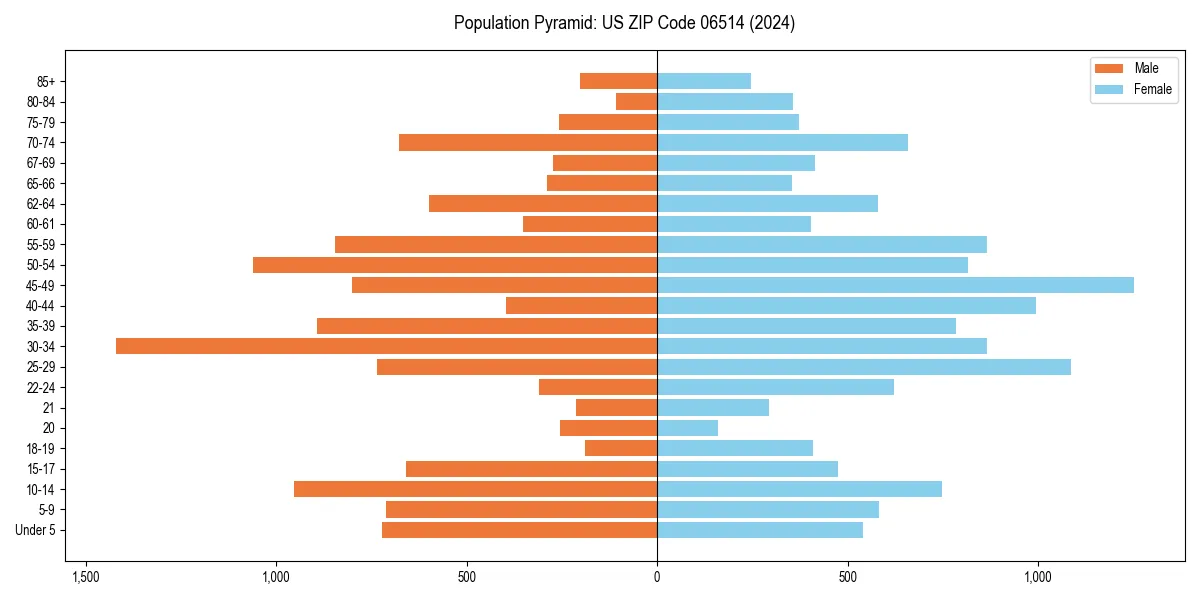 Population pyramid for 
