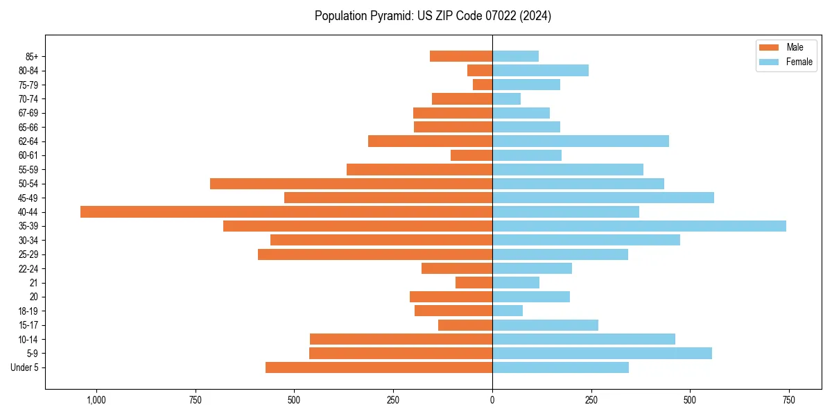 Population pyramid for 