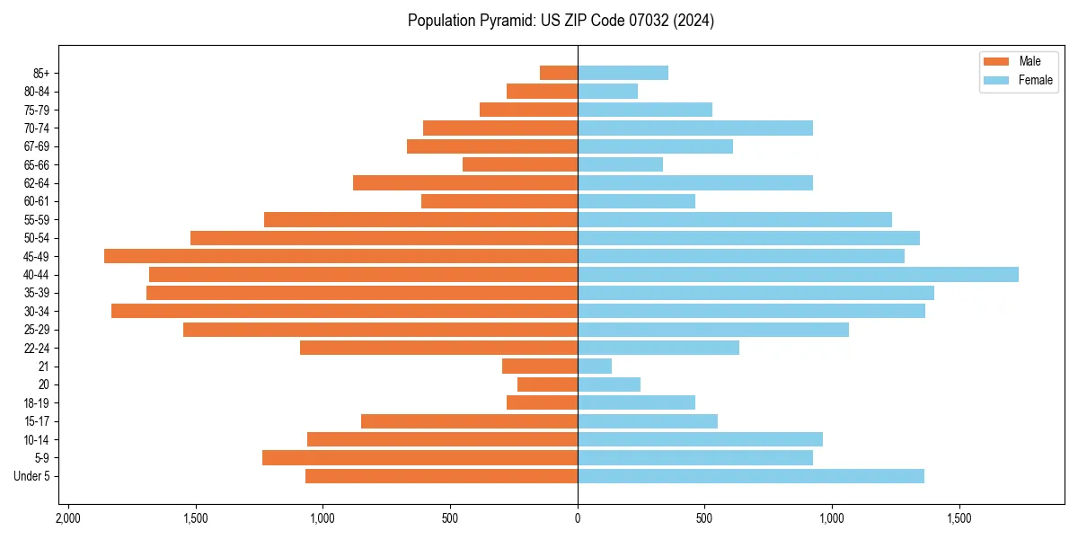 Population pyramid for 