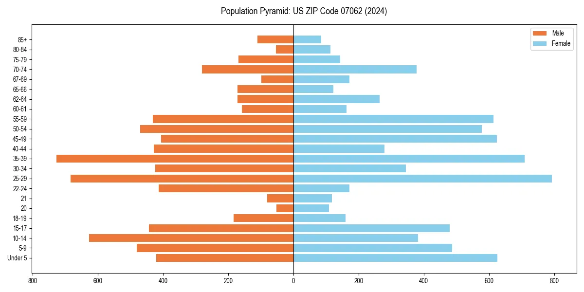 Population pyramid for 