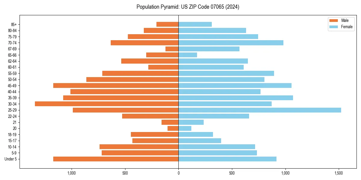 Population pyramid for 