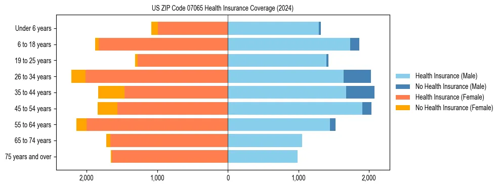 Health insurance pyramid for US ZIP Code 07065