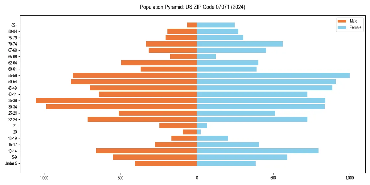 Population pyramid for 