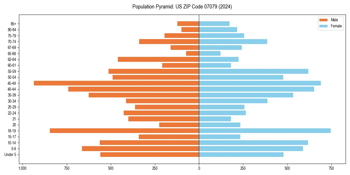 Population pyramid for 