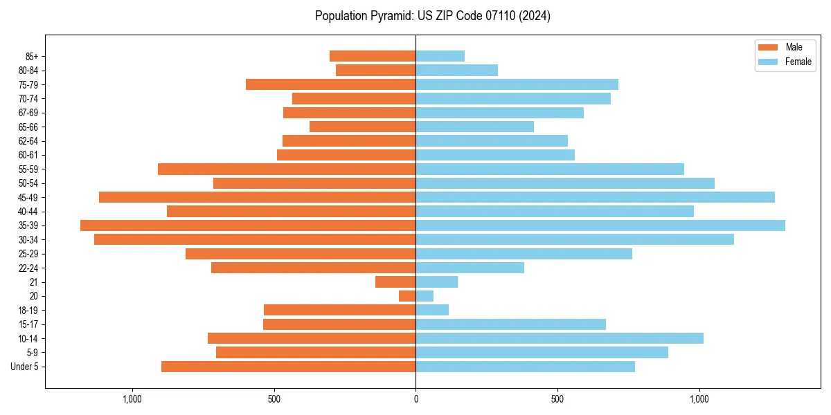 Population pyramid for 