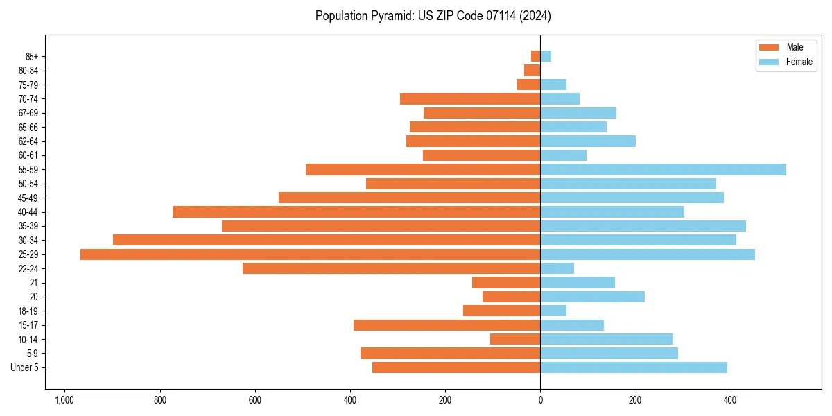 Population pyramid for 