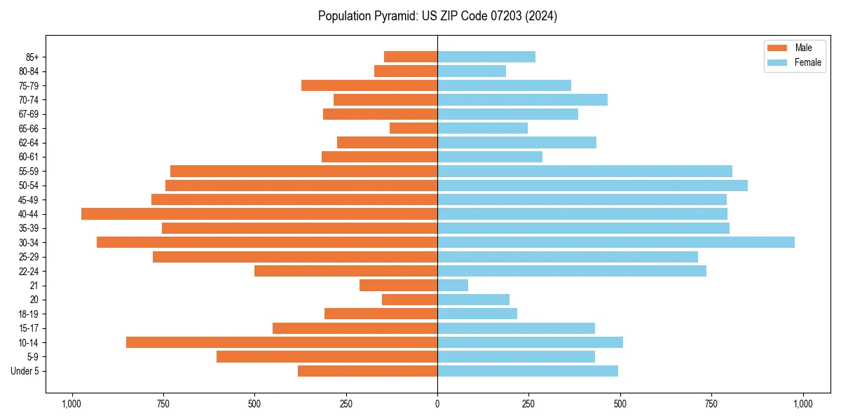 Population pyramid for 