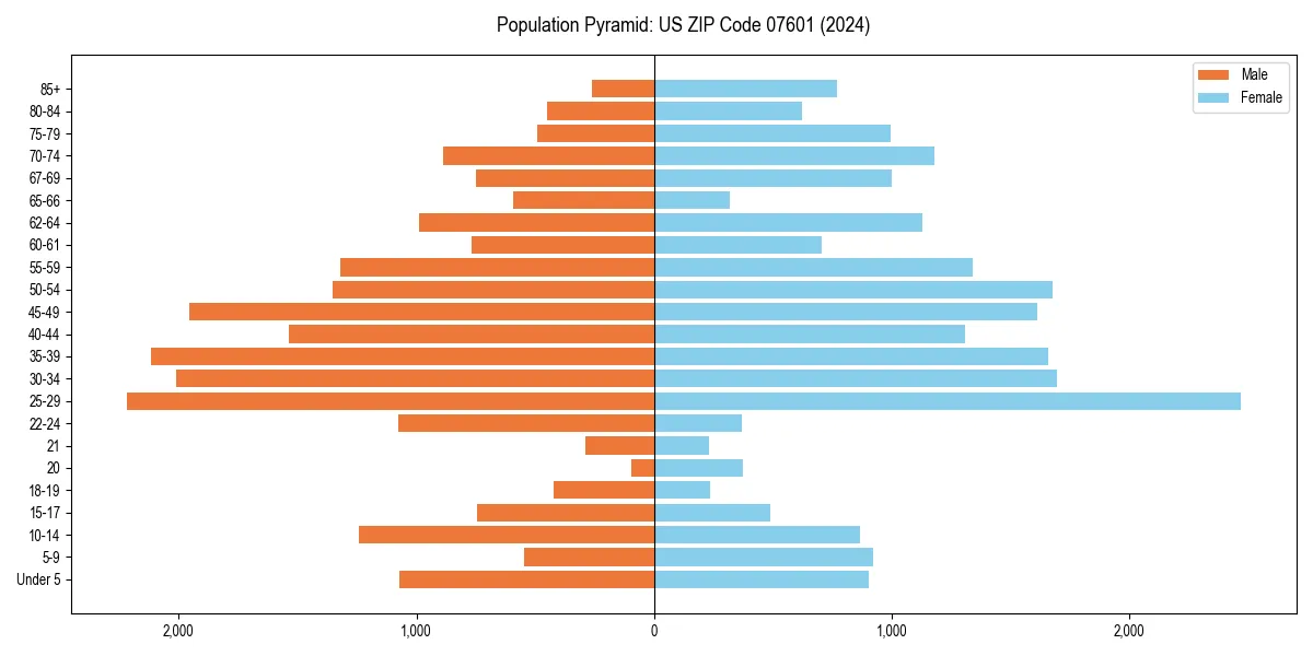Population pyramid for 