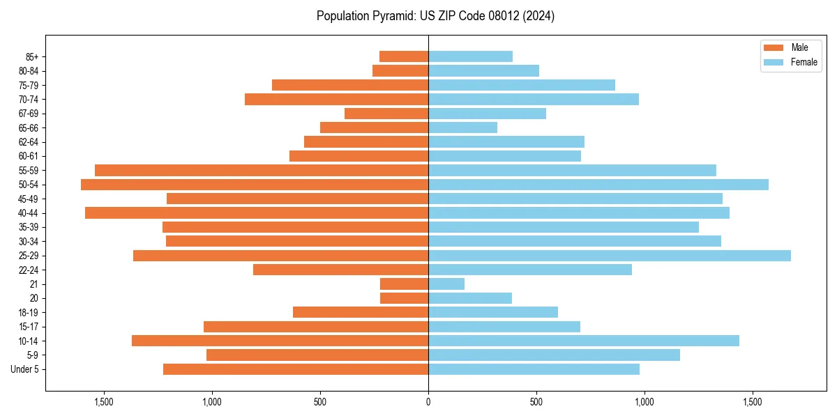 Population pyramid for 