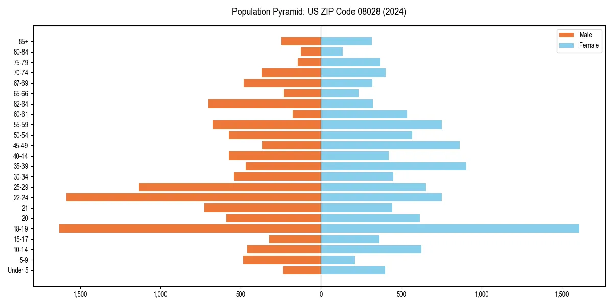Population pyramid for 