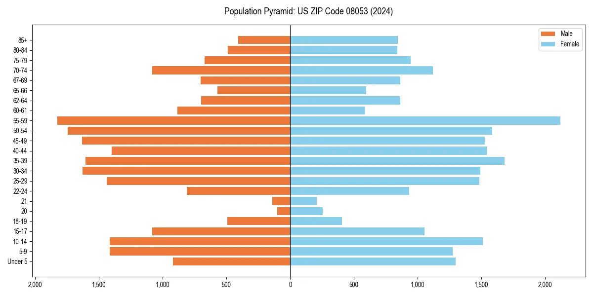 Population pyramid for 