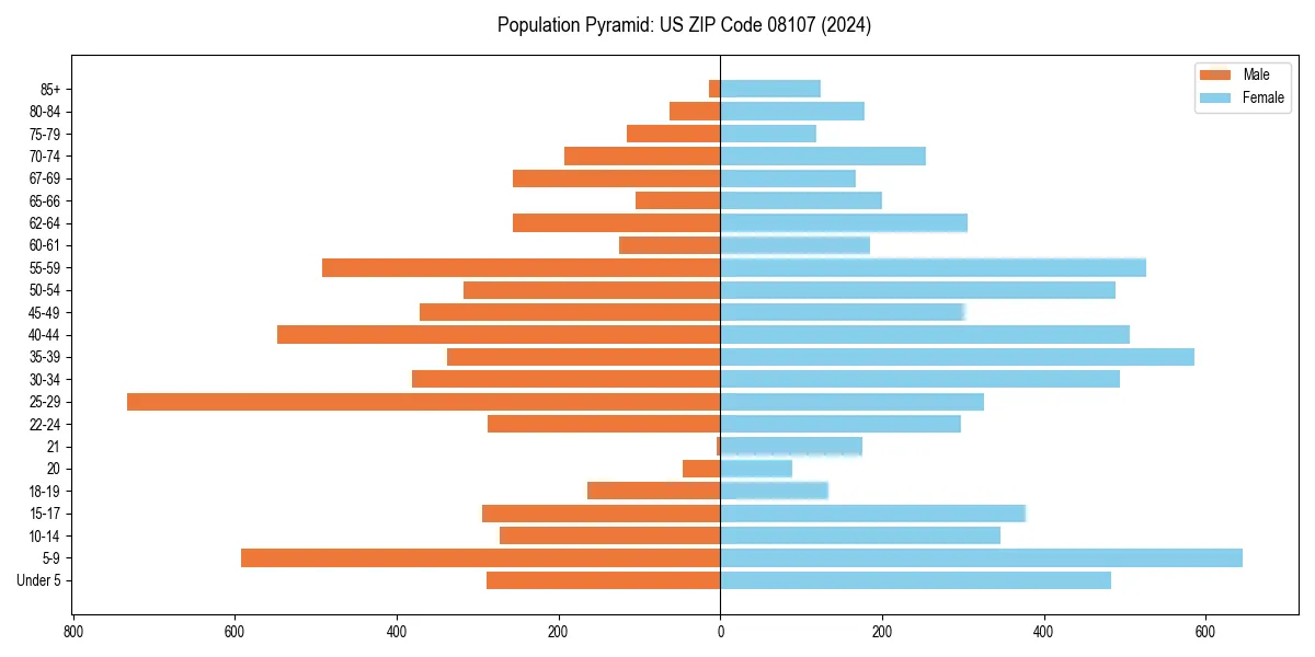 Population pyramid for 