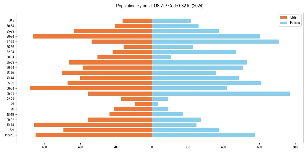 Population pyramid for 