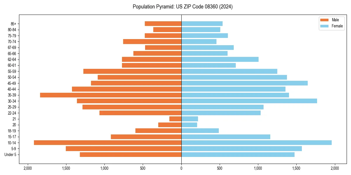Population pyramid for 