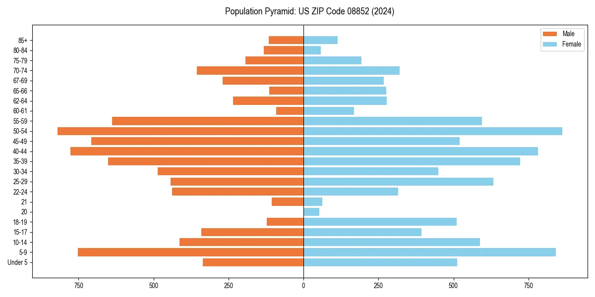 Population pyramid for 