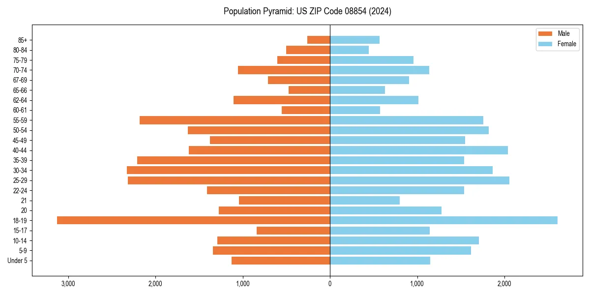 Population pyramid for 