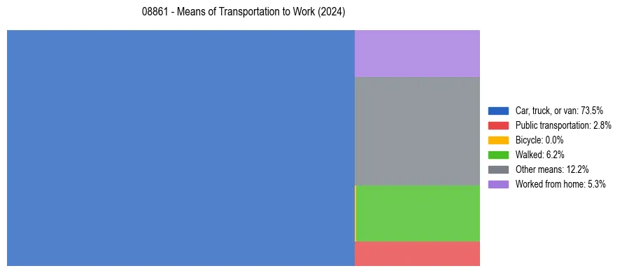 Commute modes in US ZIP Code 08861