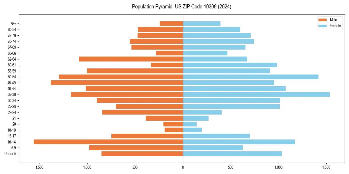 Population pyramid for 