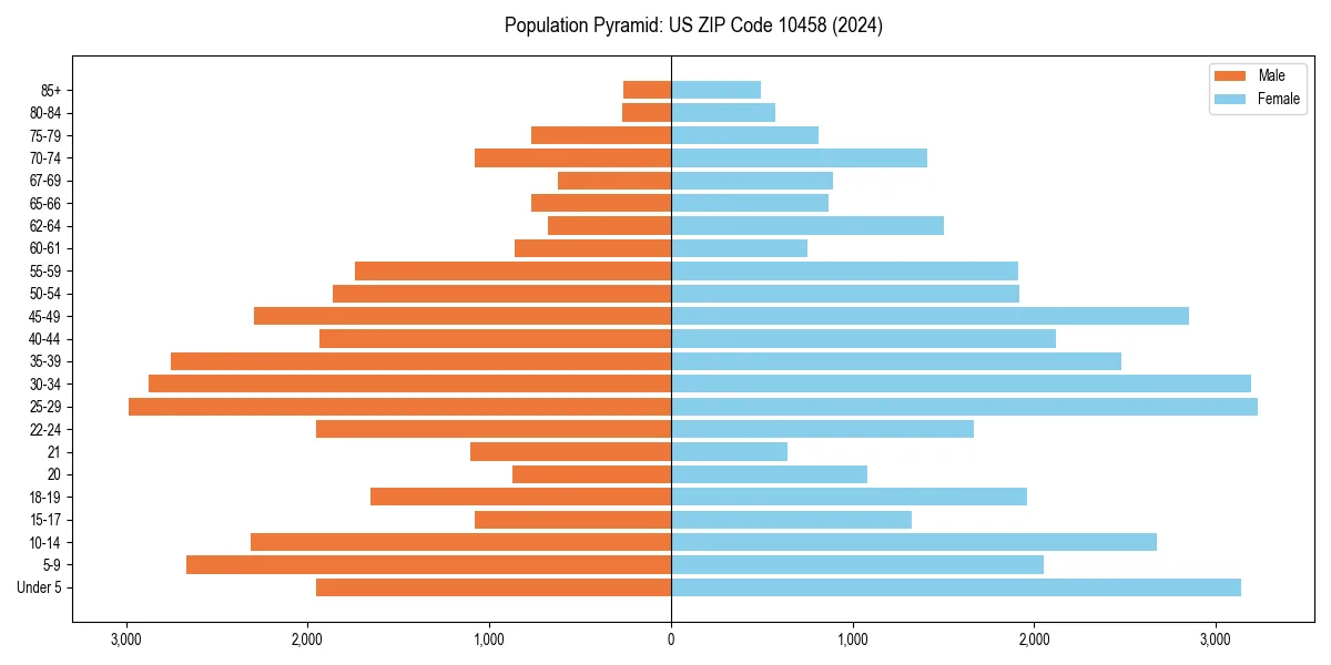 Population pyramid for 