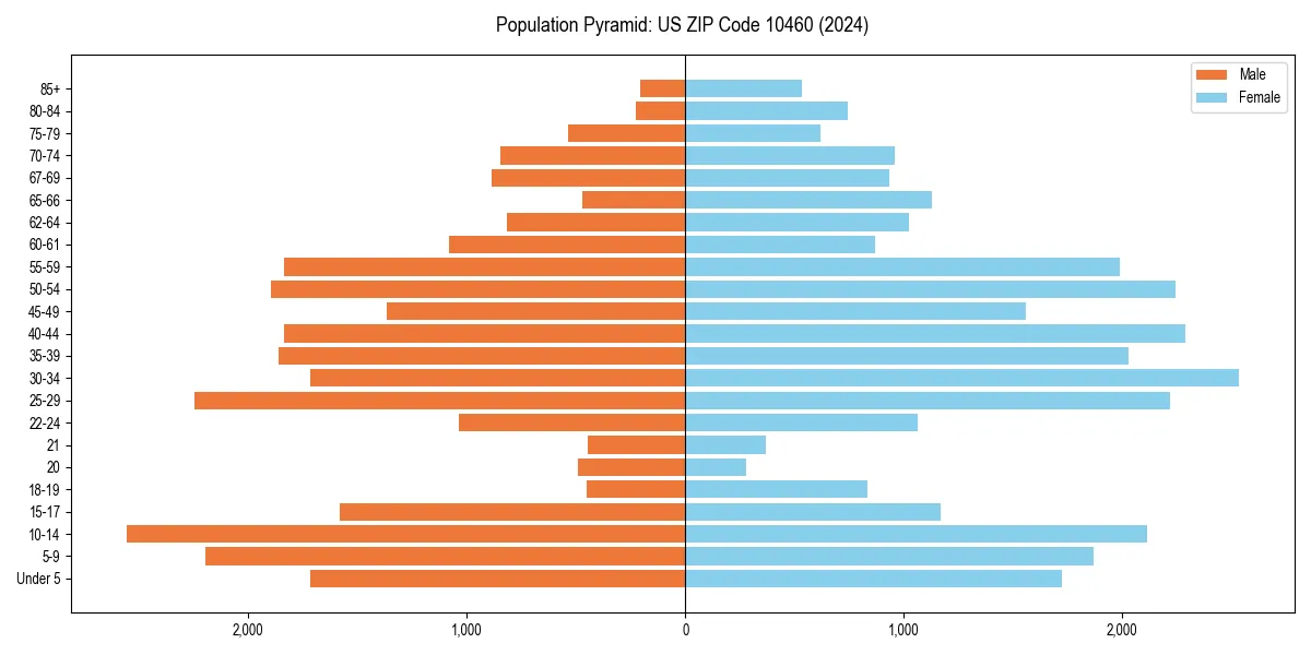 Population pyramid for 