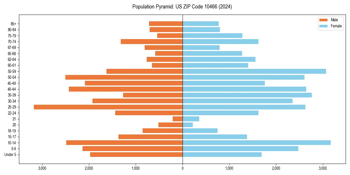 Population pyramid for 